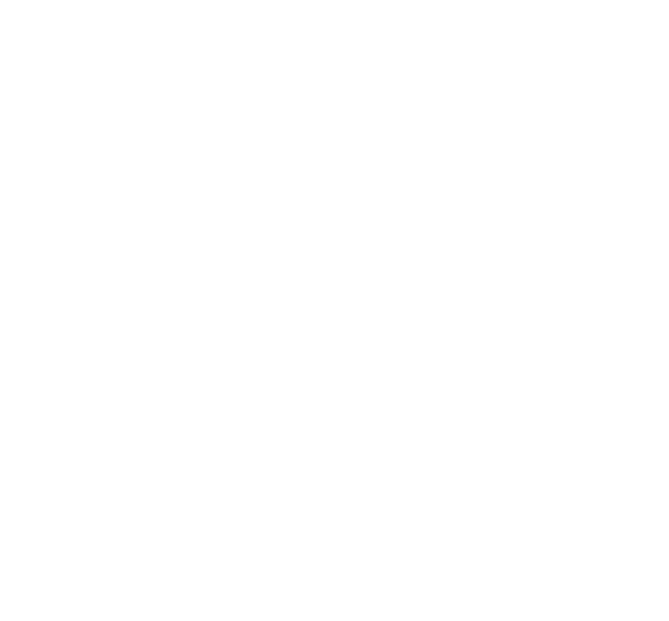 inseton logo